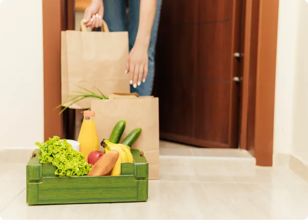 Grocery Delivery Startups Business